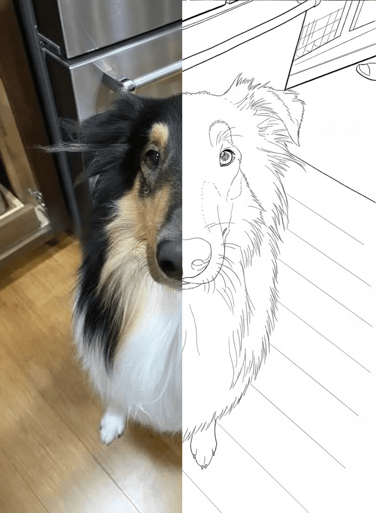 Turn Your Photos Into Custom Coloring & Sketch Books